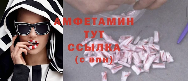дмт Алзамай