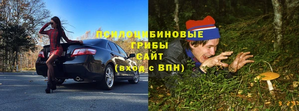экстази Алексин