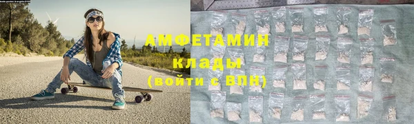 дмт Алзамай