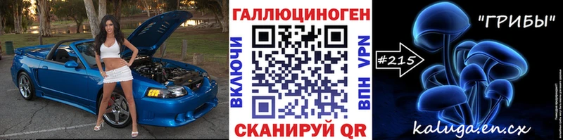 Галлюциногенные грибы Psilocybine cubensis Богородск