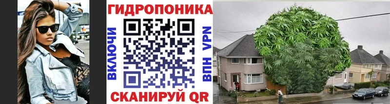 Шишки марихуана гибрид Купить закладки Богородск